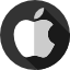 apple.inc